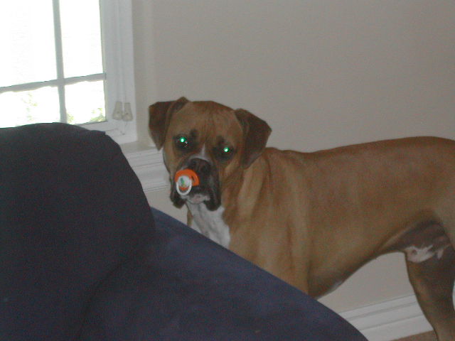 O and that pacifier!
