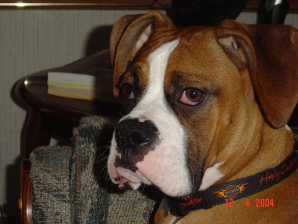 O.K. one more picture