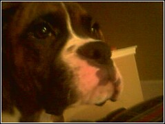 Oakley up close