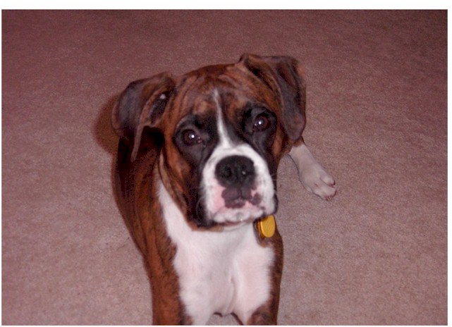 Oakley