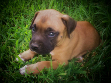 Oakley