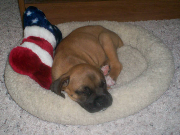 Oakley