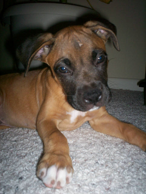 Oakley