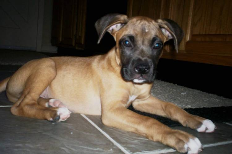 Oakley