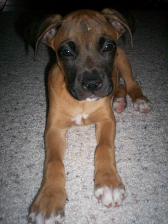 Oakley
