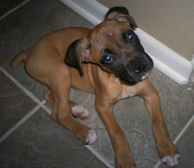 Oakley