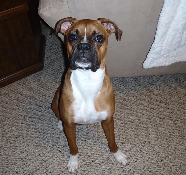 Oakley :)