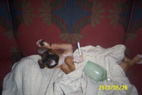 Oden had too much wine