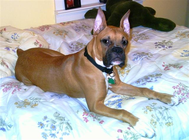 Oden looking good for the camera