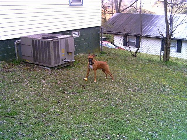 Oden playing outside