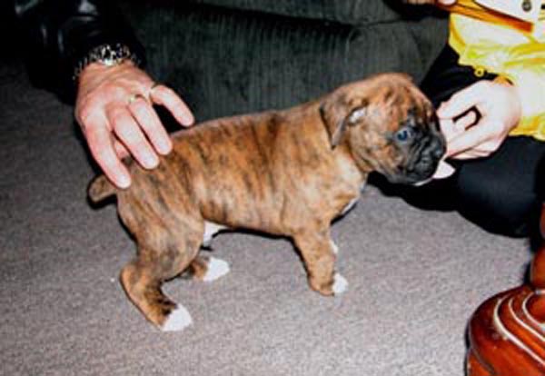 Odi at 4 weeks