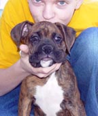 Odi at 9+ wks