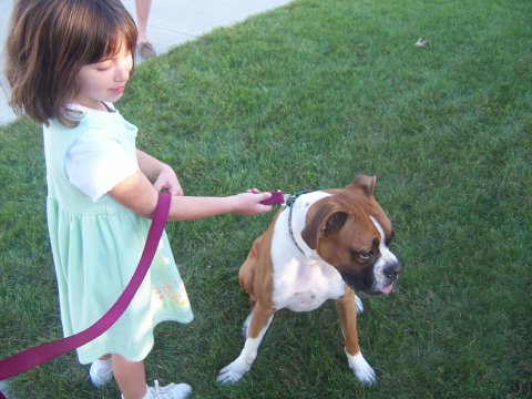 odie