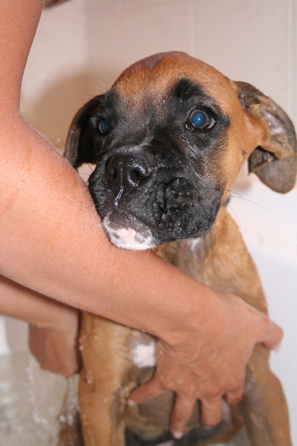 Odies first bath