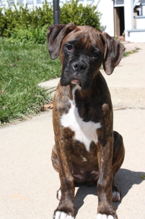 Odin, 15 weeks