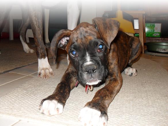 Odin Playing 10 weeks