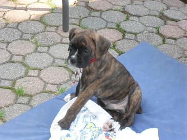 Odin Sitting