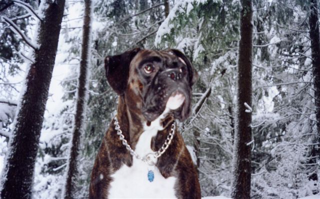 Odin
