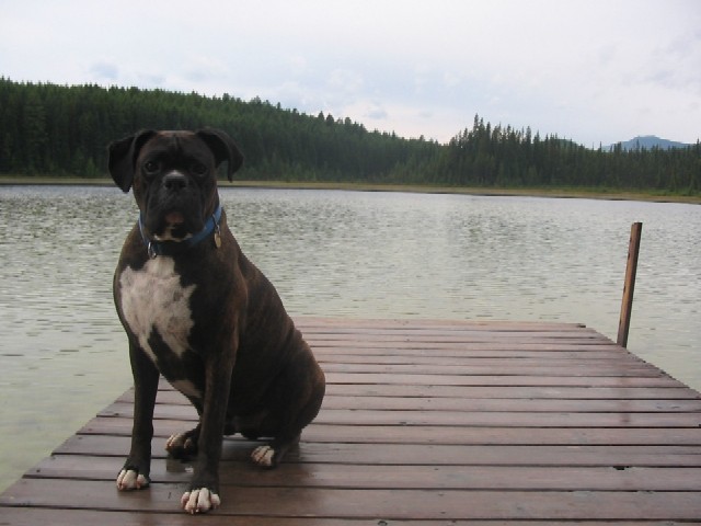 Odin