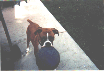 odin3