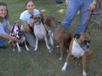 Oh boy a big group of boxers