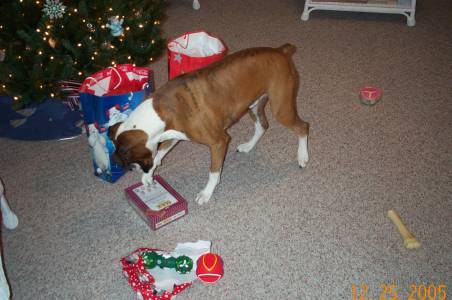 Oh boy treats!  I want one now!!