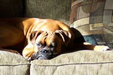 Oh, how I love the sun