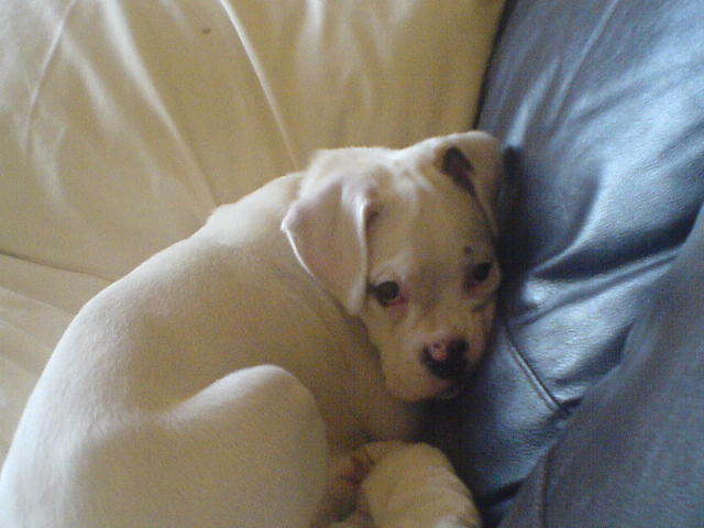 oh let me sleep will you!