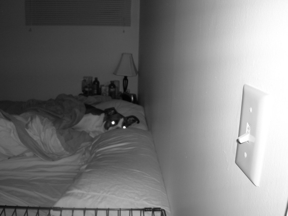 OH NO! mom caught me in bed.