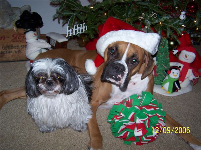 Oh no- not another picture!