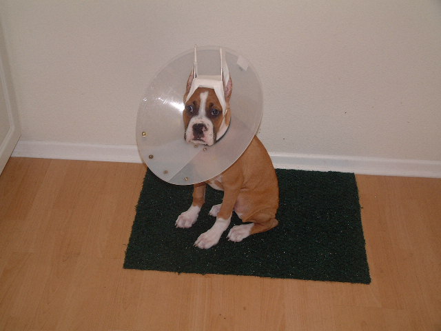 Oh no you didn't take that pic Dad!