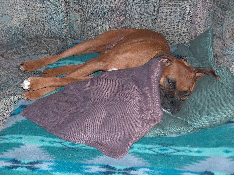 Oh so comfy