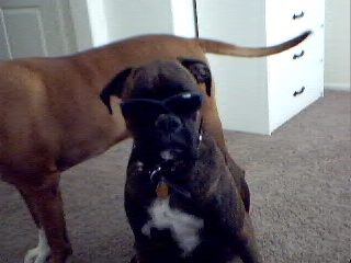 Oh so cool!