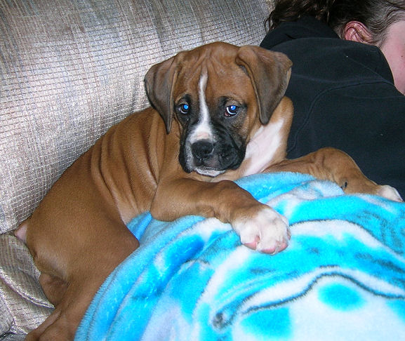 Oh so cute!