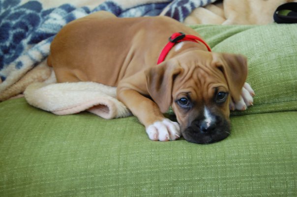 Oh-so-sad face