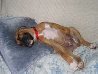 Oh so tired!