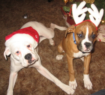 Oh,  the humiliation, she is killing us HELP!!!