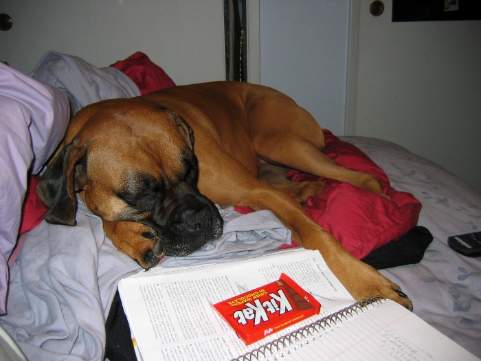 Oh, the tough life... :)