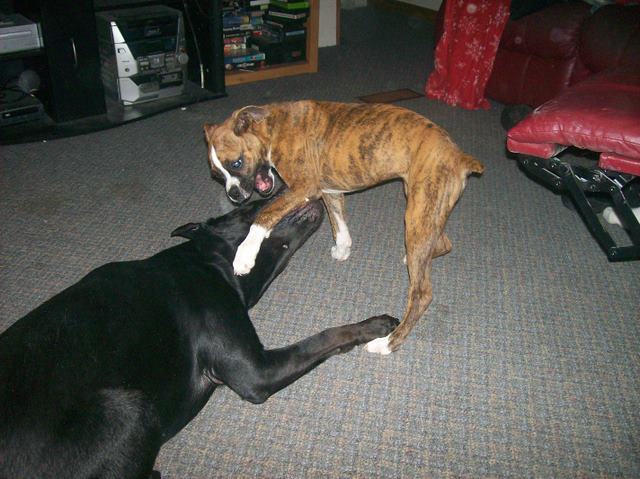 OH YEAH? Your not so big!