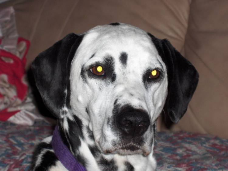 ohhh mom's got the camera again!