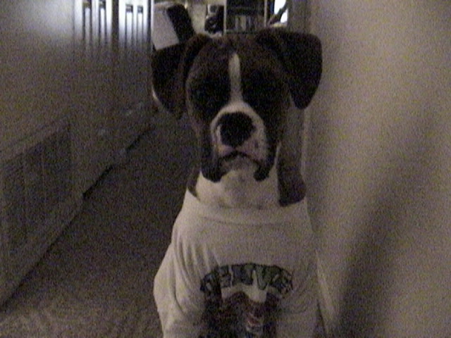 OK dad Im ready for the softball game
