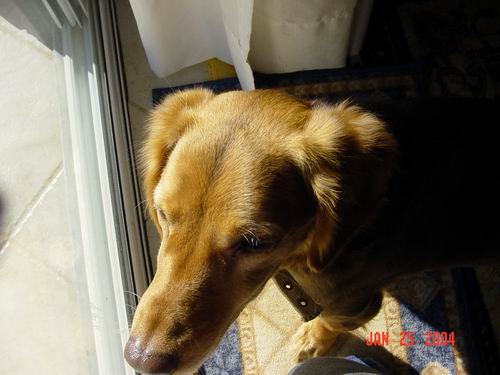 Ok I haven't gor big Flews...