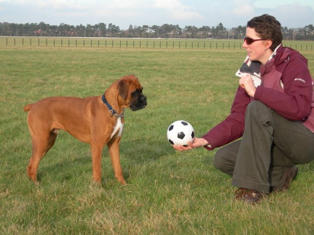 OK...........Lets Play!