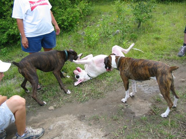 Ok Max..I'll play !!!