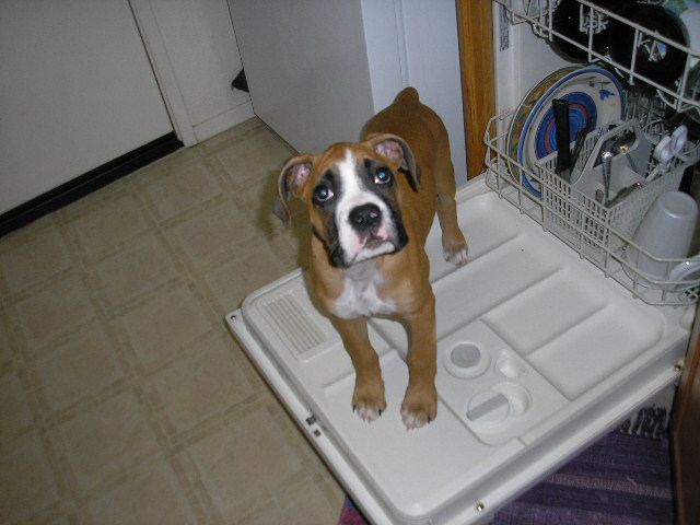 Ok mommy i want to help