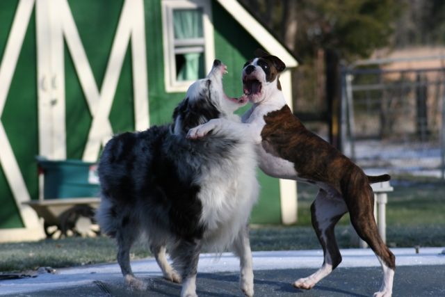 OK, on the count of 3, lets see who's mouth is wider...