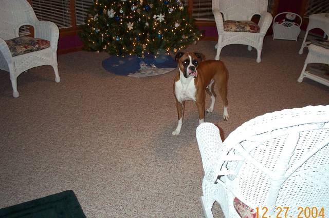 Ok, where did all the presents go?