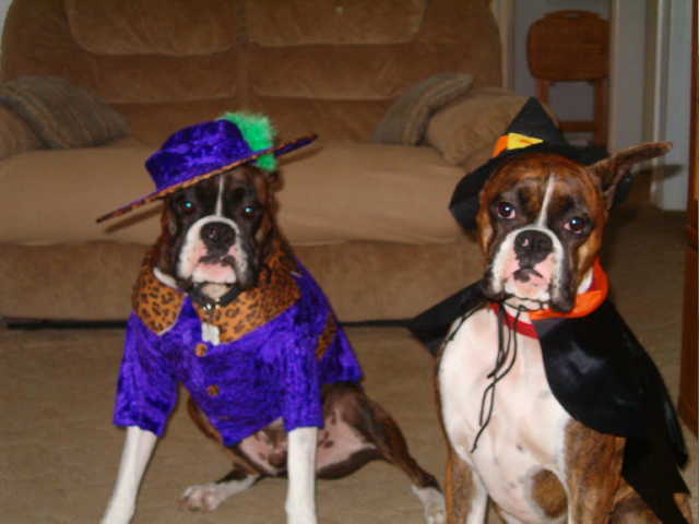 Ok . . . Where's the candy????