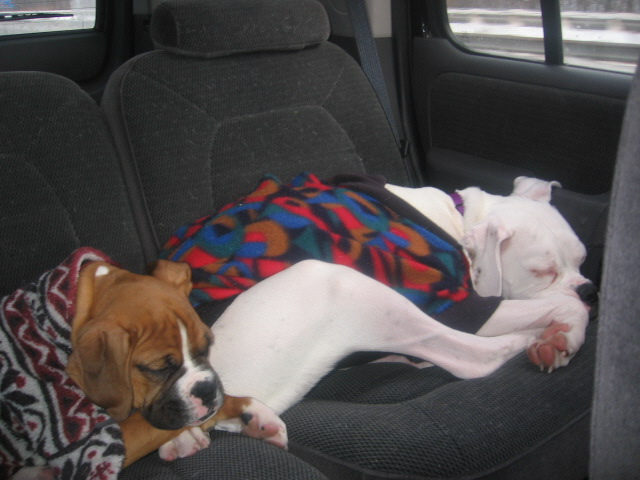 Okay, guess we do like each other a bit