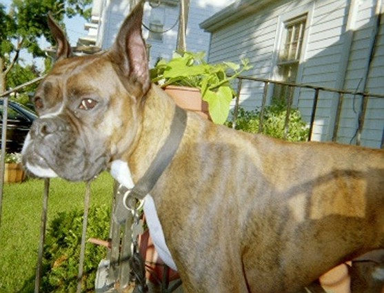 Okay, here is my serious look ...